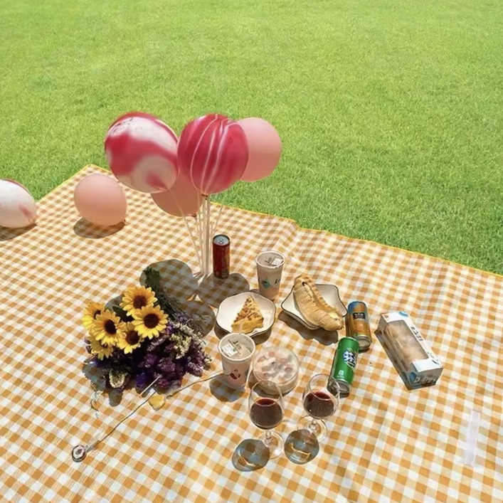 Waterproof Folding Picnic Mat