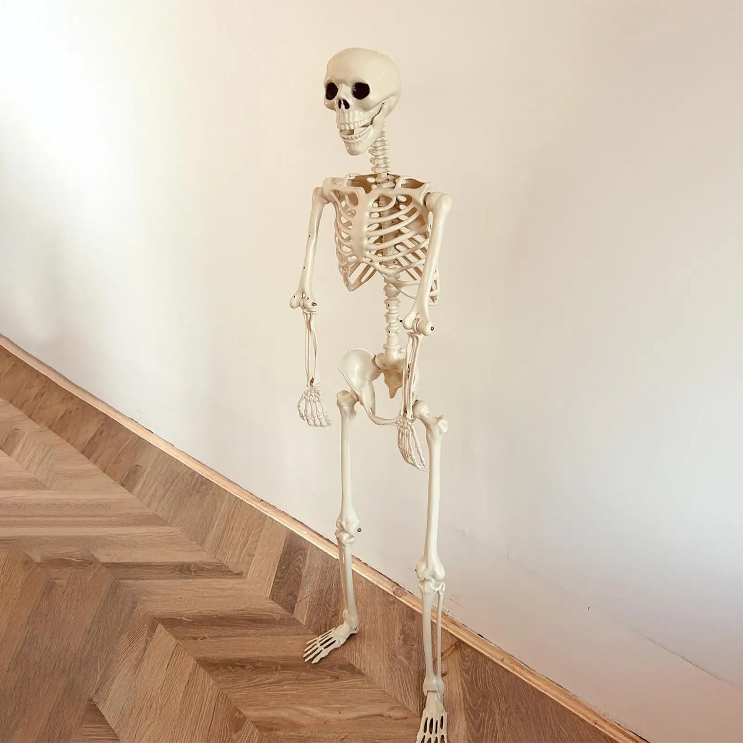 Halloween Skeleton Decoration