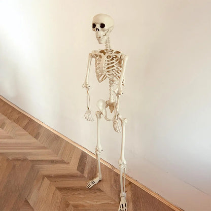 Halloween Skeleton Decoration