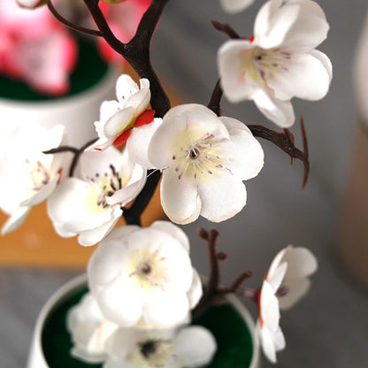 Decorative Garden Flowers