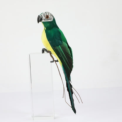 Decorative Parrot