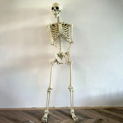 Halloween Skeleton Decoration