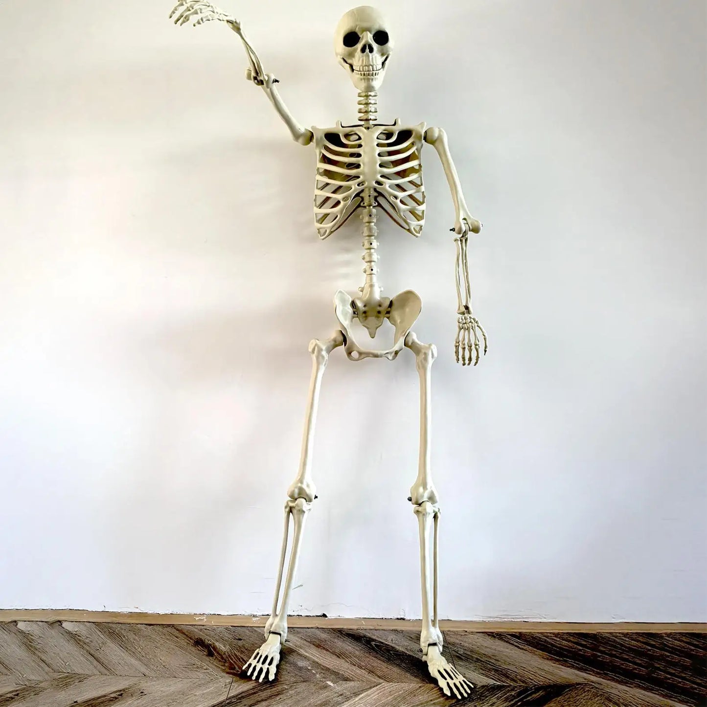 Halloween Skeleton Decoration