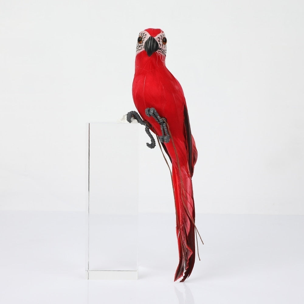 Decorative Parrot