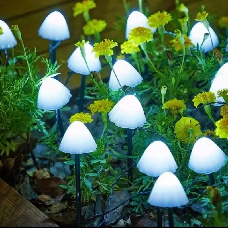 Solar Mushroom Lights