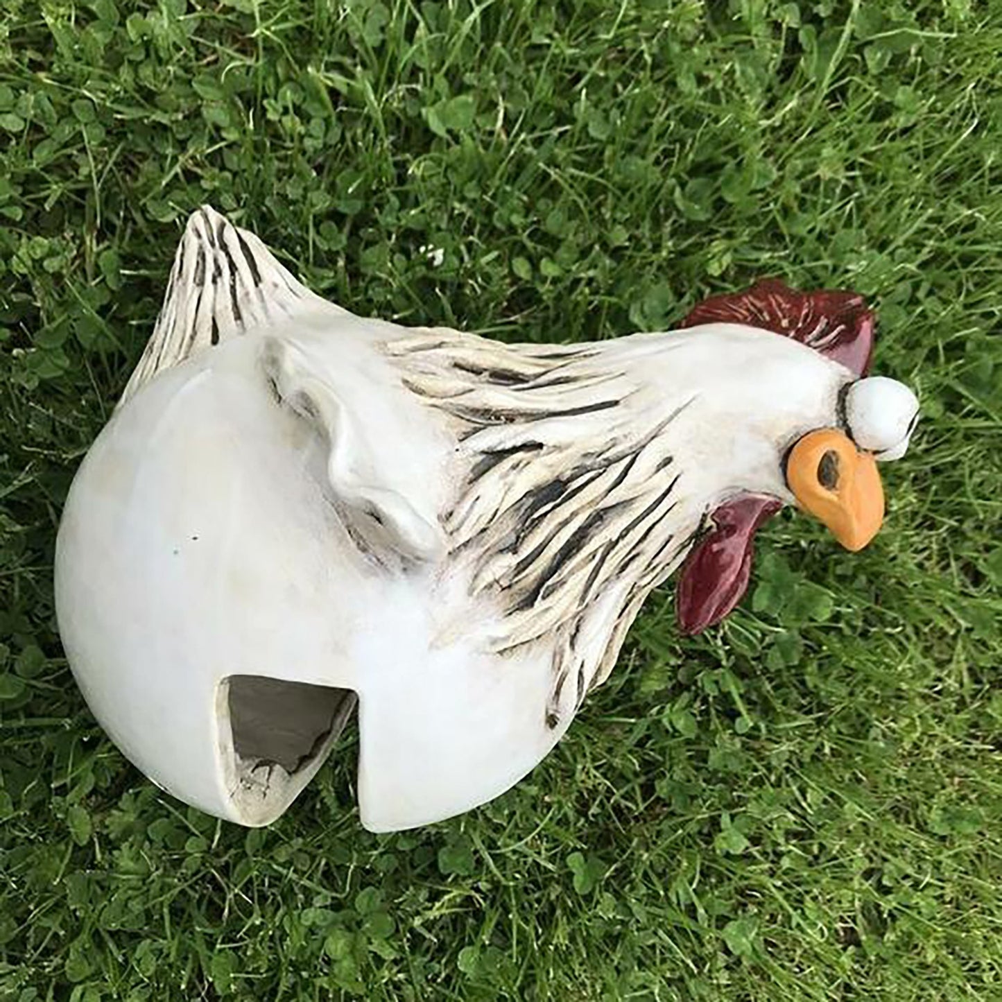 Chicken Fence Decor