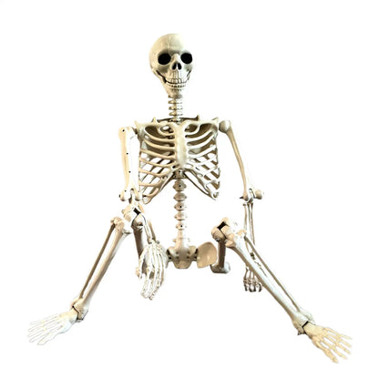 Halloween Skeleton Decoration