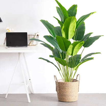 Outdoor Decorative Plant
