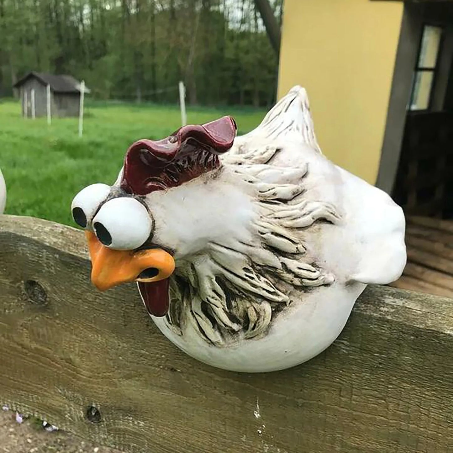 Chicken Fence Decor
